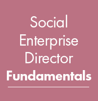 SEF - Social Enterprise Director Fundamentals