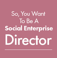 SYS - So, You Want To Be a Social Enterprise Director