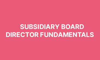 Subsidiary Board Director Fundamentals